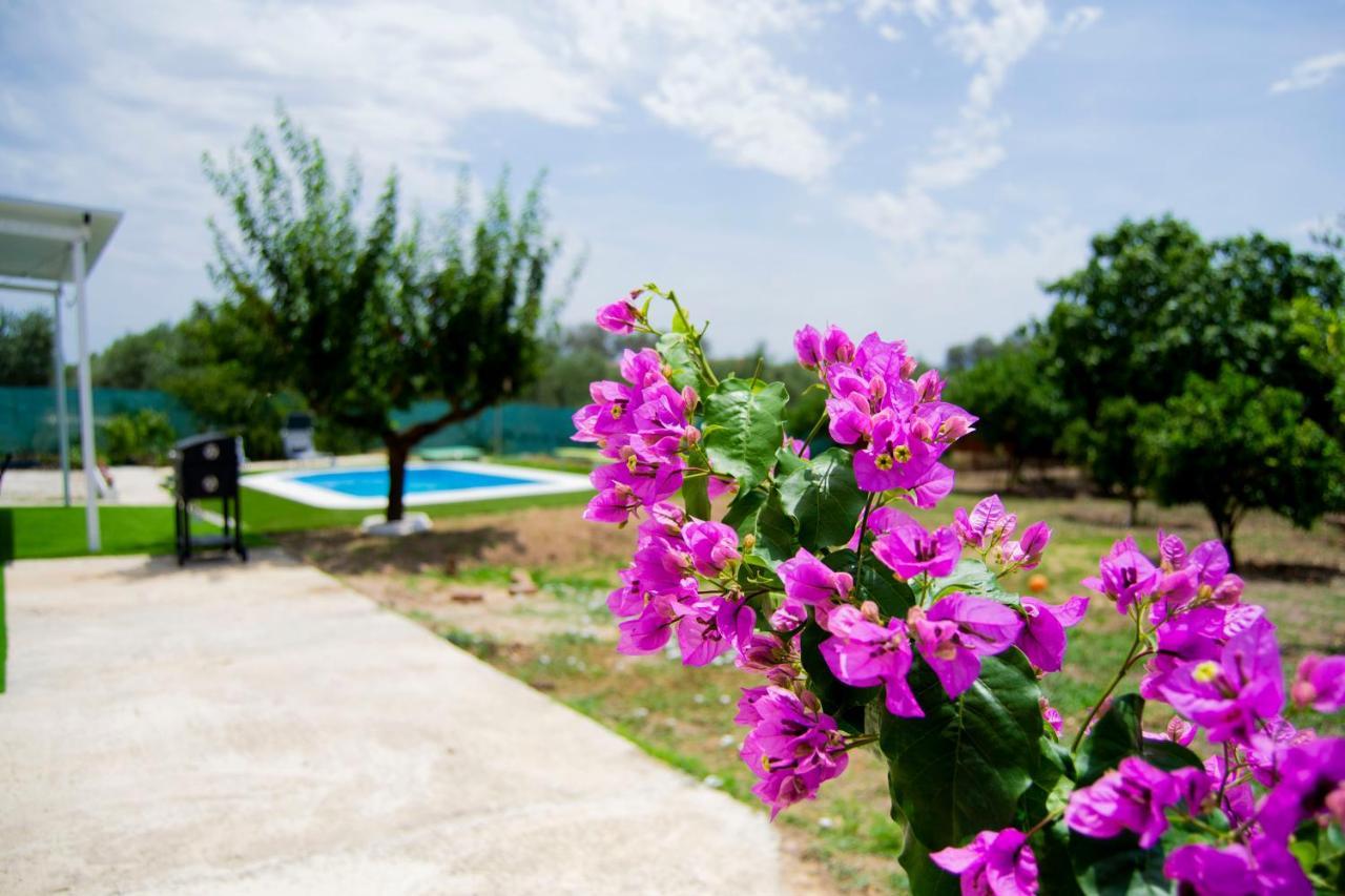 La Casa Del Carreron Βίλα Montilla Εξωτερικό φωτογραφία