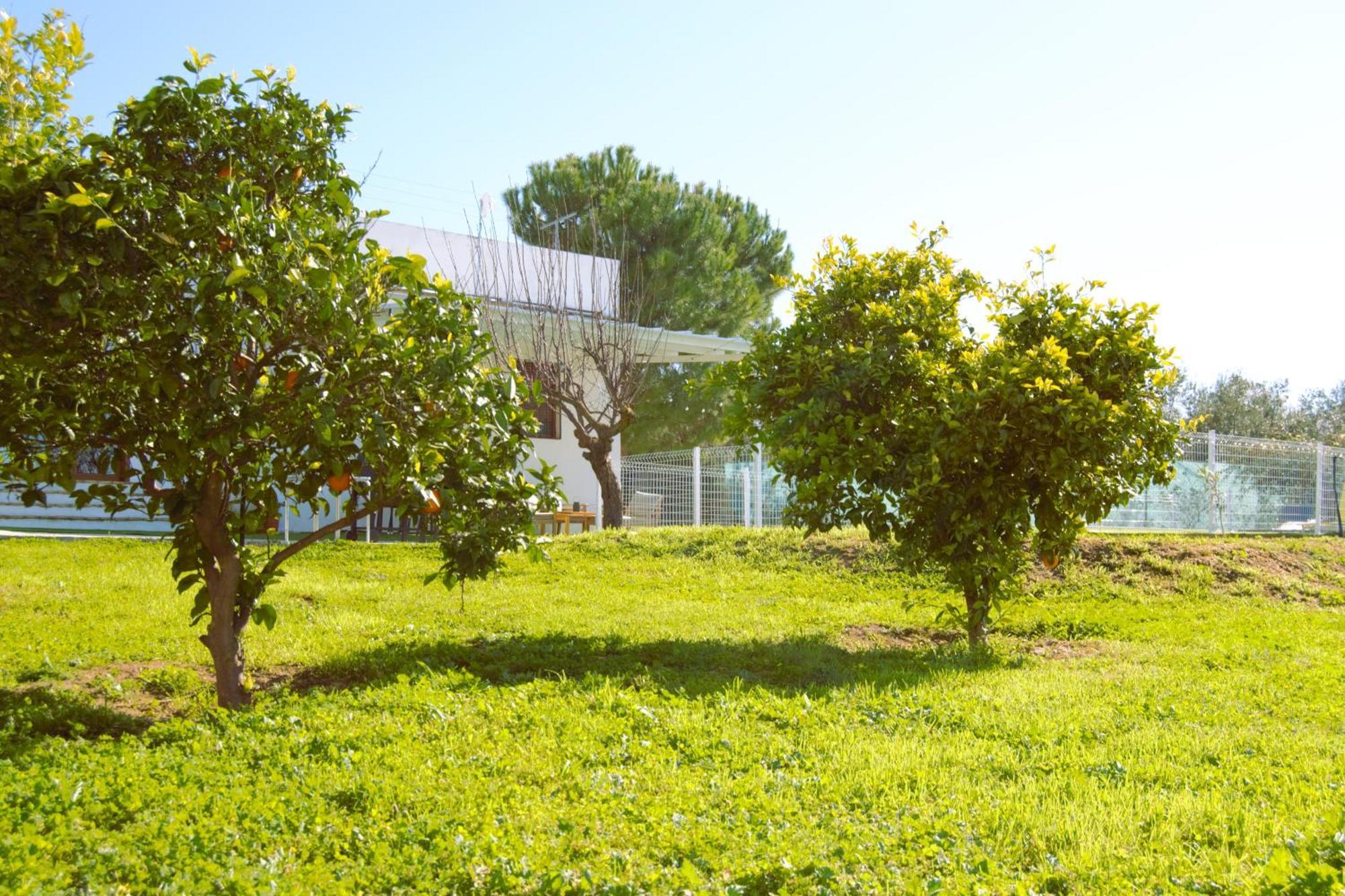 La Casa Del Carreron Βίλα Montilla Εξωτερικό φωτογραφία